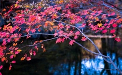 叫出声来啊 宝宝